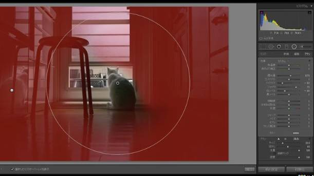 Adobe Lightroom istenmeyen her şeyi kaldıracak - Resim: 2